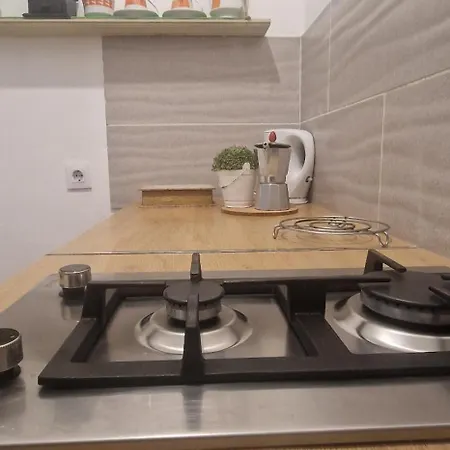 Apartament Ohana Roger *