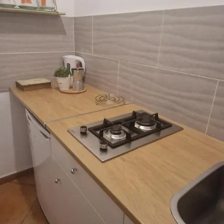 Ohana Roger Apartman